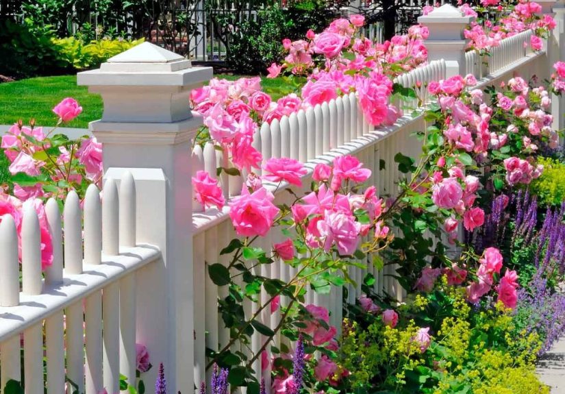 Front Yard Flower Bed Ideas