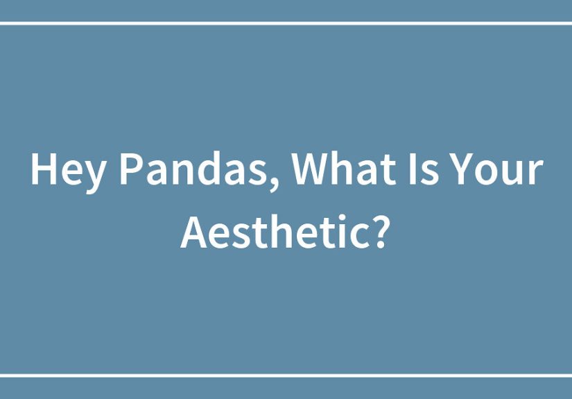 Hey Pandas, What Is Your Aesthetic?