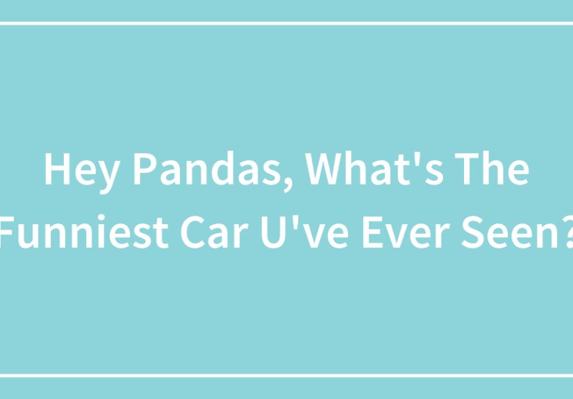 Hey Pandas, What’s The Funniest Car U’ve Ever Seen?