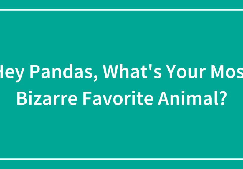 Hey Pandas, What’s Your Most Bizarre Favorite Animal?