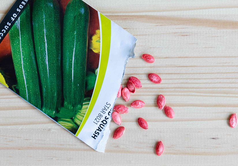 How Long Do Seeds Last and Are They Still Good?