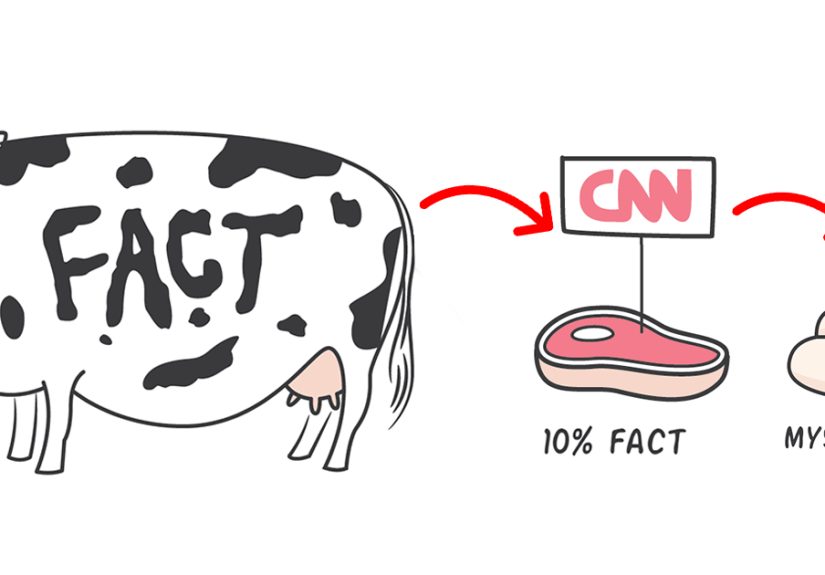 How Media Actually Works, Summed Up In One Clever Comic