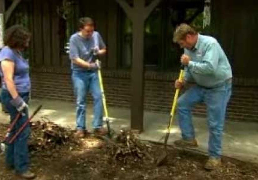 How To Clear Large Shrubs to Make Space in Your Yard