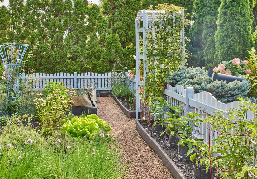How to Design a Vegetable Garden Layout in Any Space