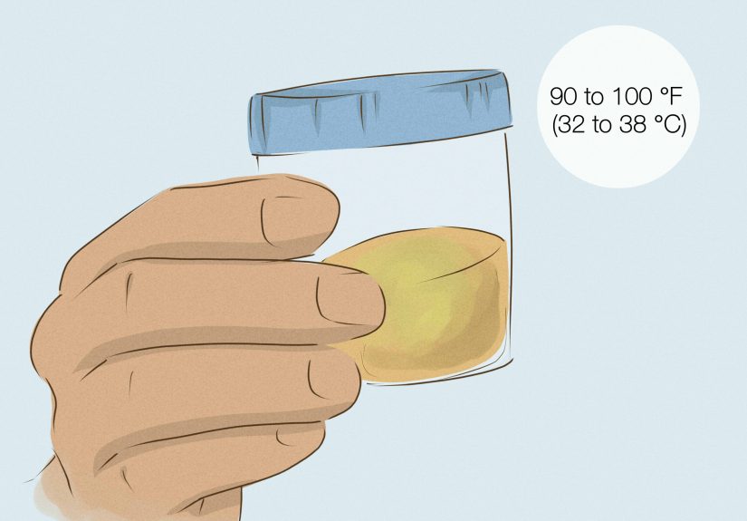How to Prepare for a Urine Drug Test Honestly: 8 Practical Steps