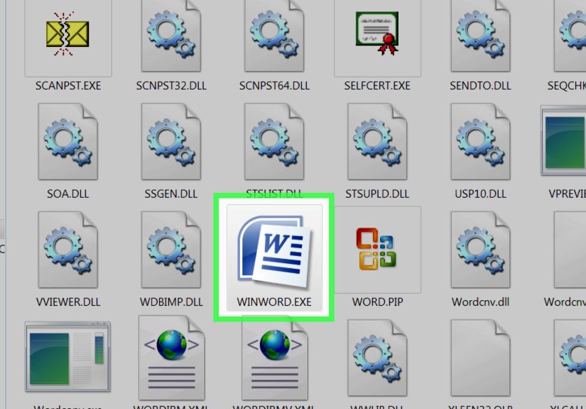 How to Use MS Word 2007: A Step-by-Step Tutorial