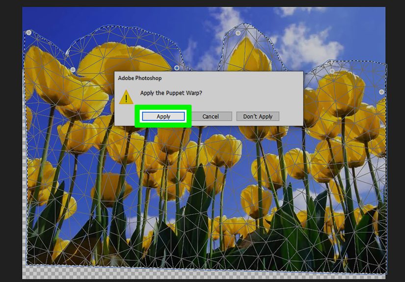 How to Use the Warp Tool in Adobe Photoshop: 3 Easy Methods