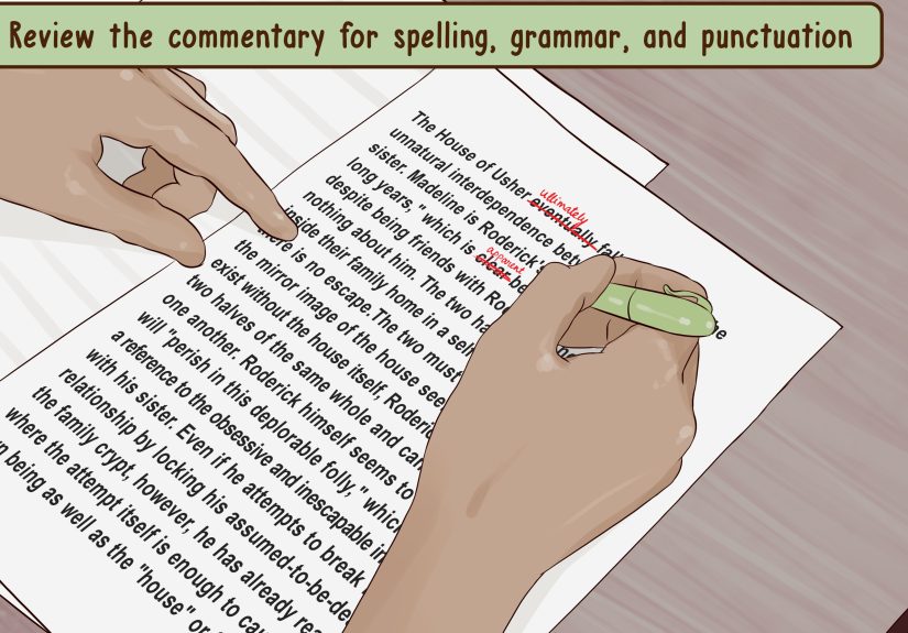 How to Write a Literary Commentary: 14 Steps