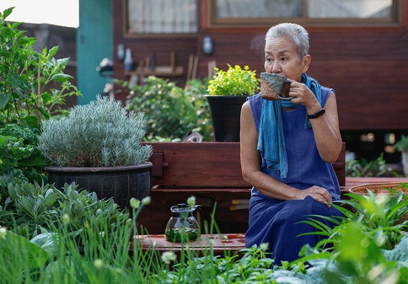 Independence and older adults: Importance and promoting it