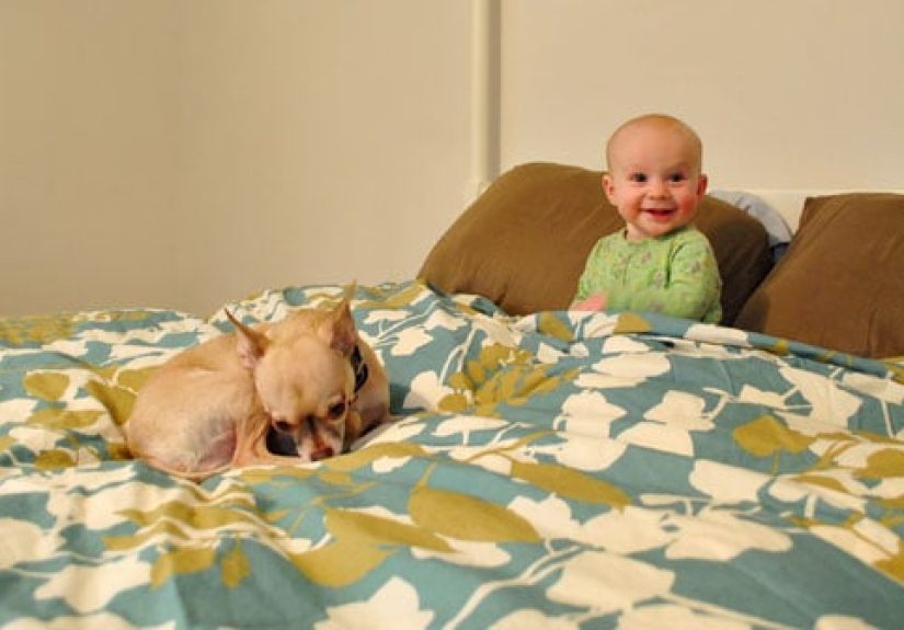 Our West Elm Duvet Arrived