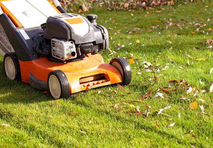 Should You Cut Your Lawn Short Before Winter? We Asked Lawn Experts