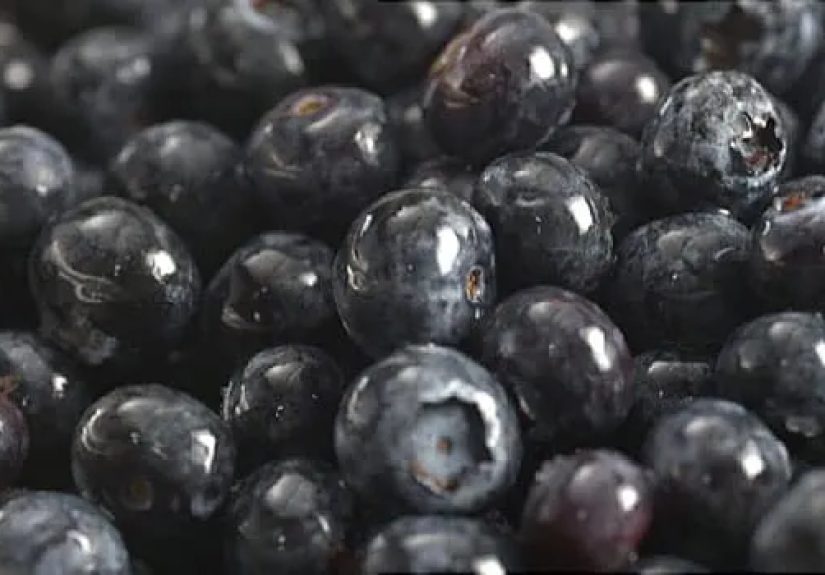 Video on Blueberry Health Benefits