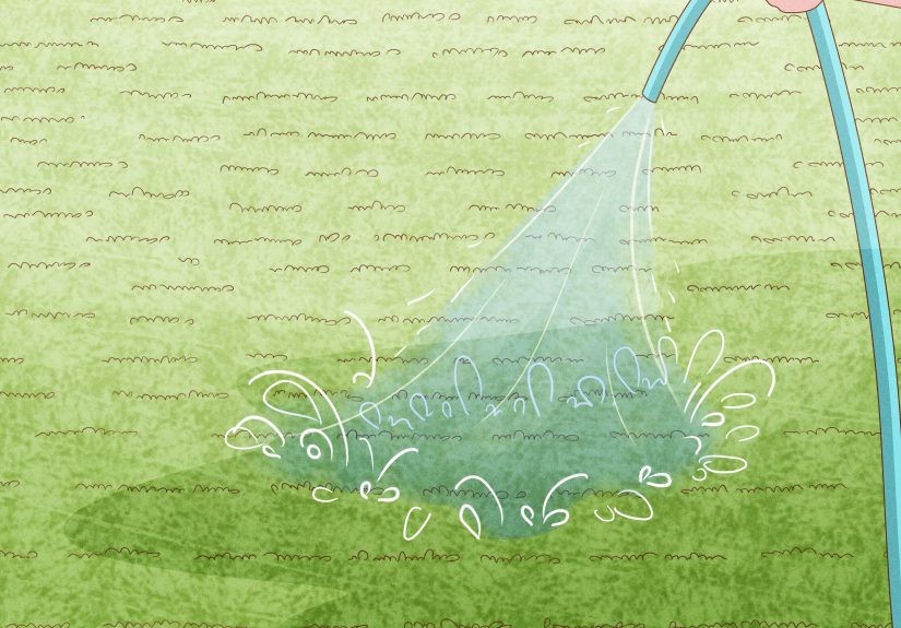 3 Ways to Plant Bermuda Grass