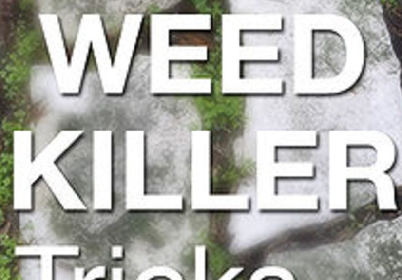9 Homemade Non Toxic Natural Weed Killer Recipe Reviews