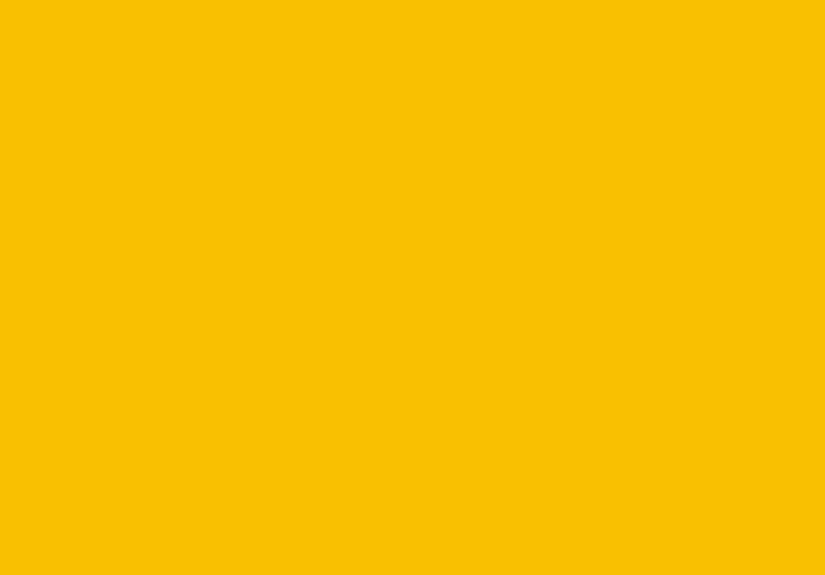 Babouche No. 223 Paint