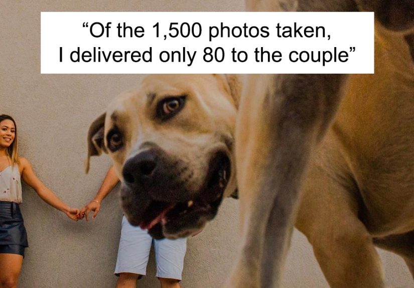Couple Brings Their Dog To Their Pre-Wedding Photoshoot, And The Result Is Hilarious (10 Pics)