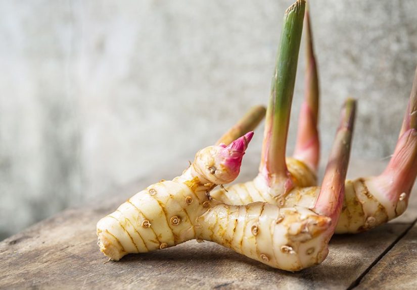 Galangal Root: Benefits, Uses, and Side Effects
