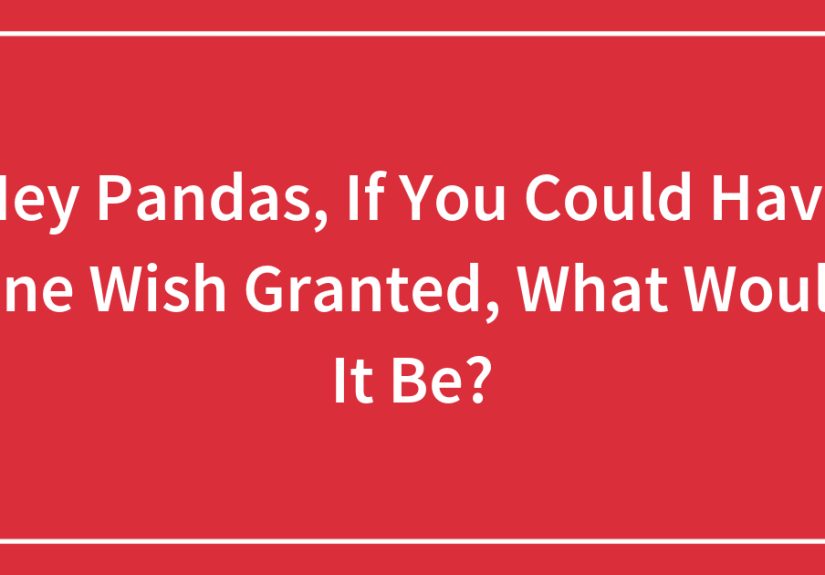 Hey Pandas, If You Could Have One Wish Granted, What Would It Be?