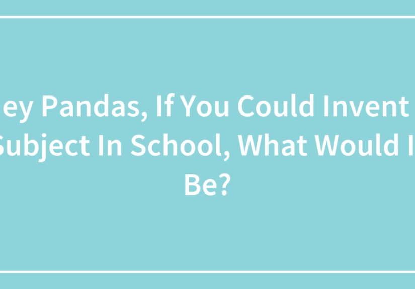 Hey Pandas, If You Could Invent A Subject In School, What Would It Be?