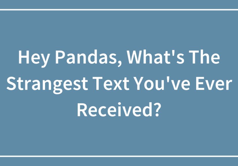 Hey Pandas, What’s The Strangest Text You’ve Ever Received?