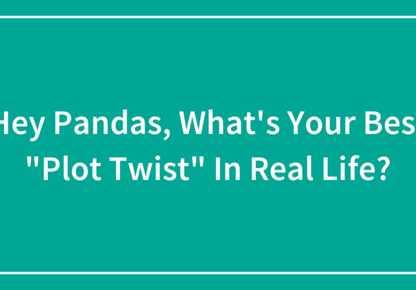 Hey Pandas, What’s Your Best “Plot Twist” In Real Life?