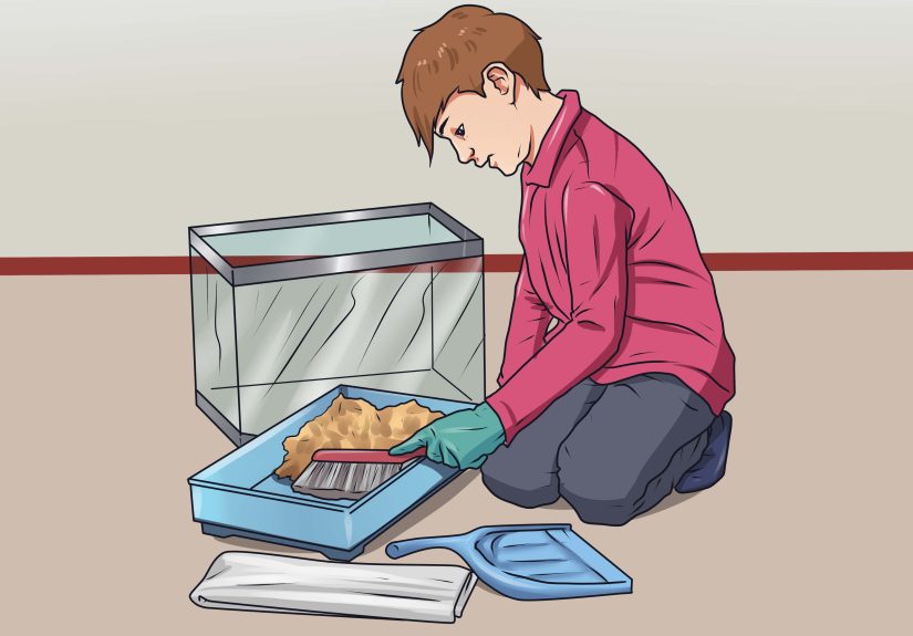 How to Clean Out a Hamster Cage: 12 Steps