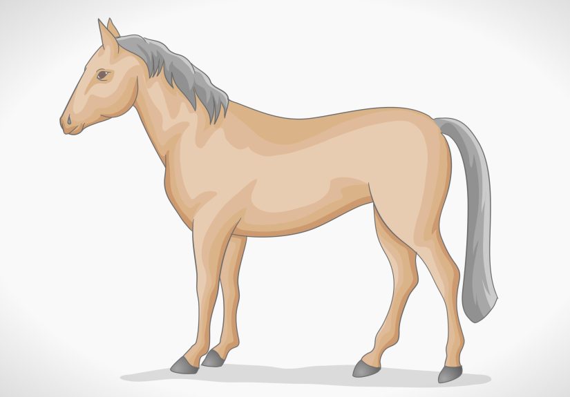 How to Draw a Simple Horse