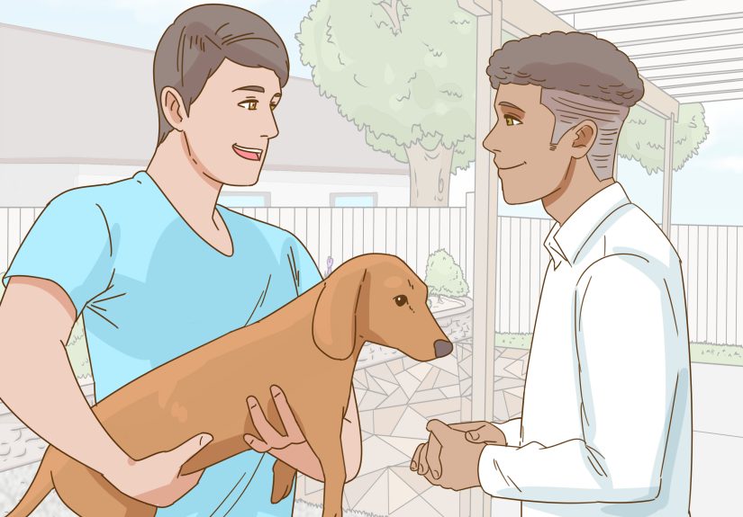 How to Hold a Dachshund Properly: 11 Steps