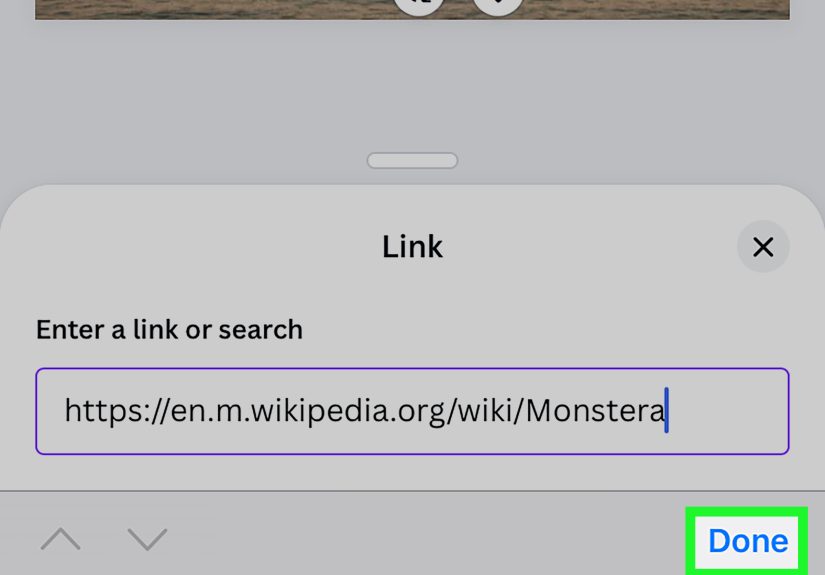 How to Hyperlink on Canva in 5 Easy Steps: Computer & App