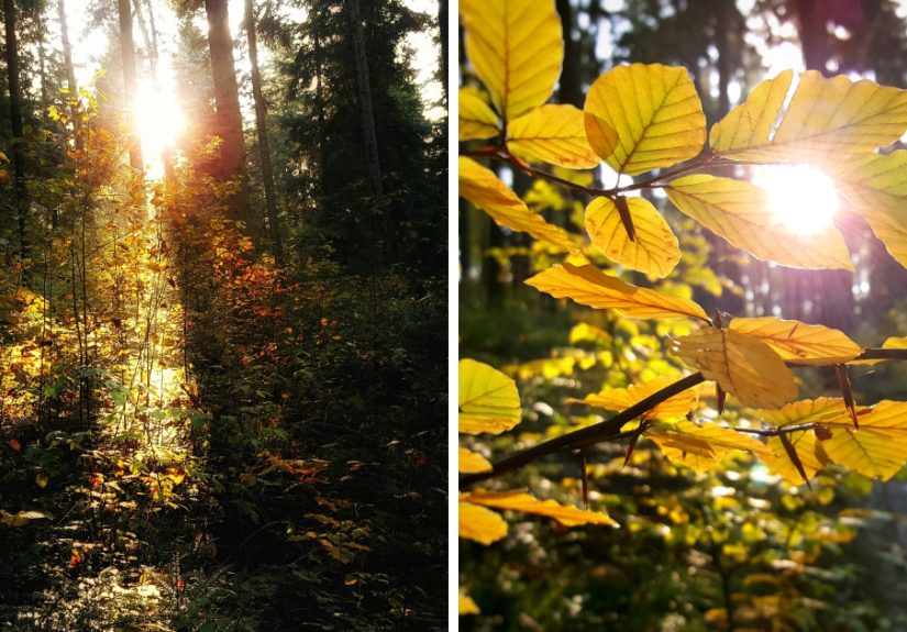 I Want To Show The Beauty Of Poland Using Smartphone