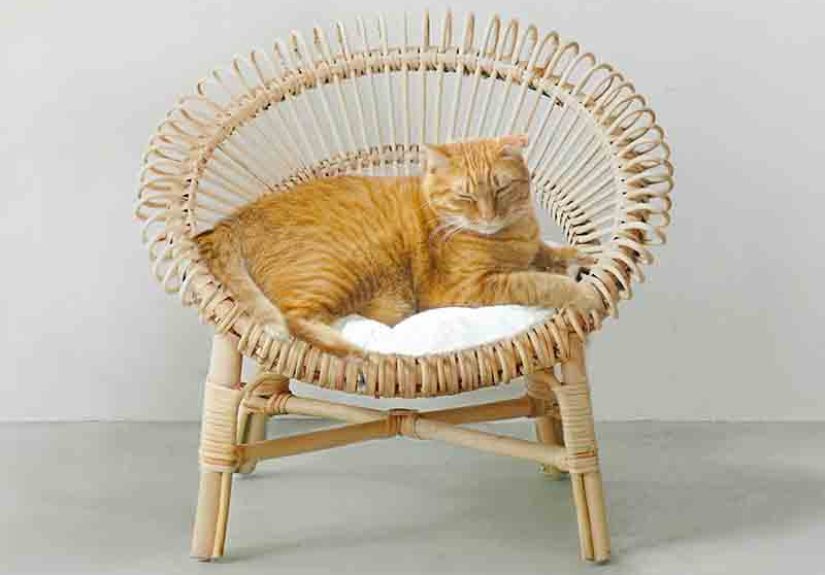 Orneko Rattan Chair With Cushion