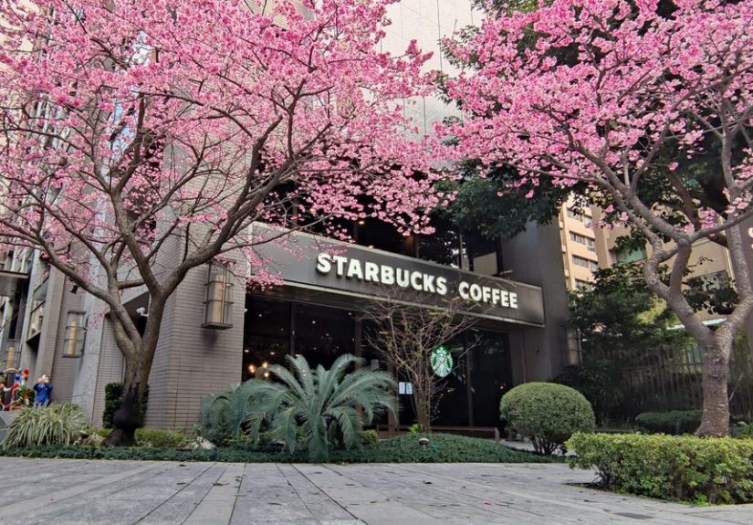 See Starbucks' Entire Spring 2025 Cup Collection