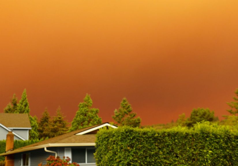 Sperm Quality Decreases After Wildfires, New Study Finds