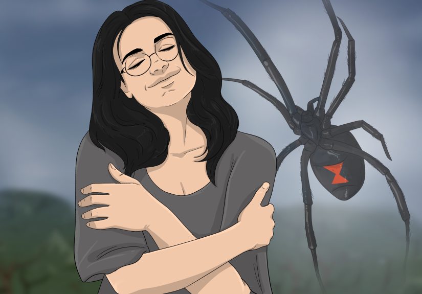 Spider Spiritual Meanings: Symbolism, Dreams, & More