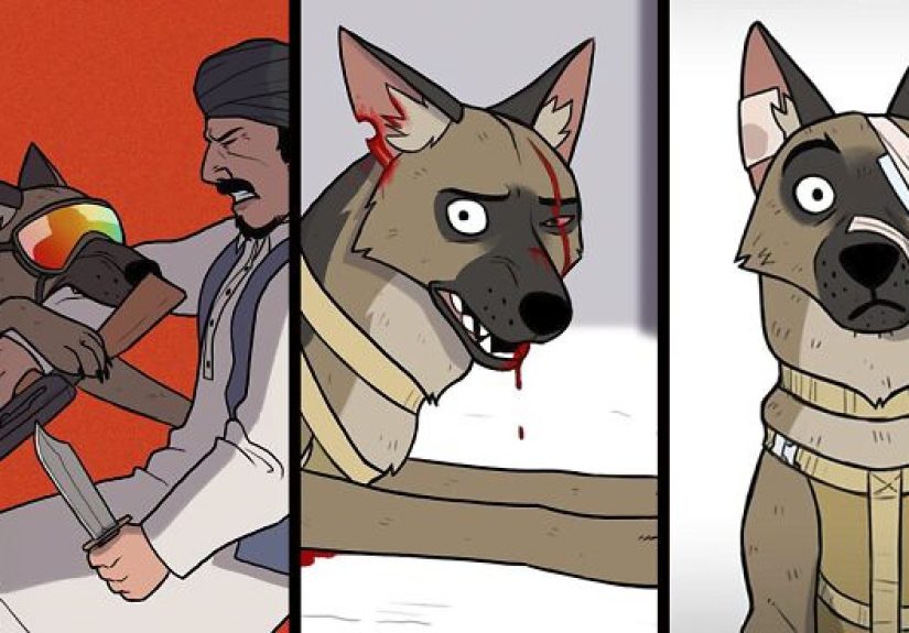 This Is How Brutus From 'Pixie & Brutus' Got His Scars
